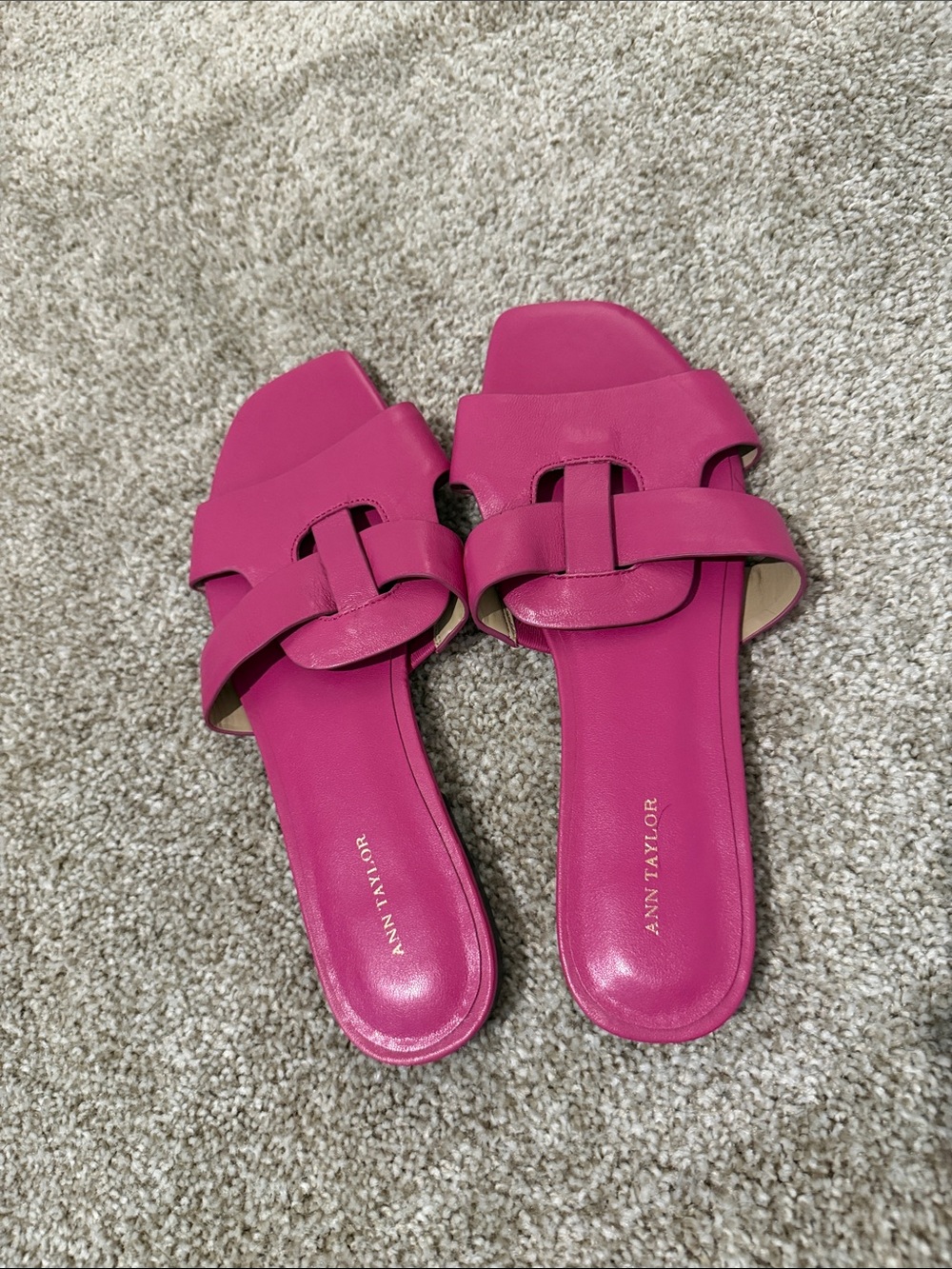 Ann Taylor Fuchsia Leather Slide Sandals